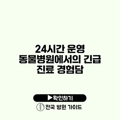 24시간 운영 동물병원에서의 긴급 진료 경험담