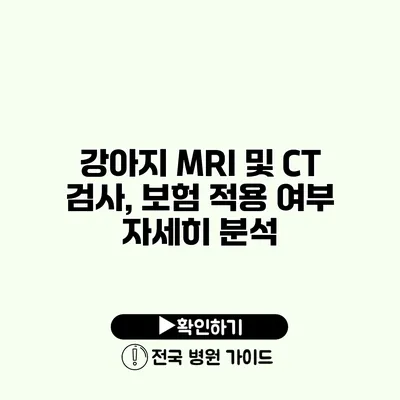 강아지 MRI 및 CT 검사, 보험 적용 여부 자세히 분석