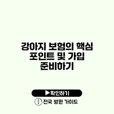 강아지 보험의 핵심 포인트 및 가입 준비하기