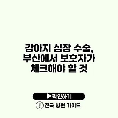 강아지 심장 수술, 부산에서 보호자가 체크해야 할 것