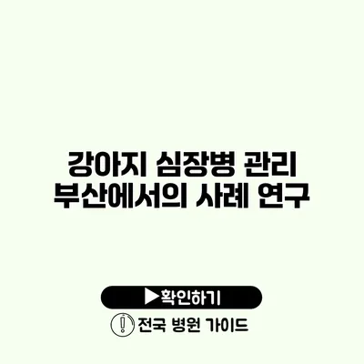 강아지 심장병 관리 부산에서의 사례 연구