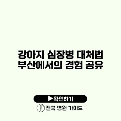 강아지 심장병 대처법 부산에서의 경험 공유