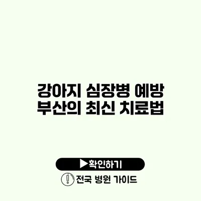 강아지 심장병 예방 부산의 최신 치료법