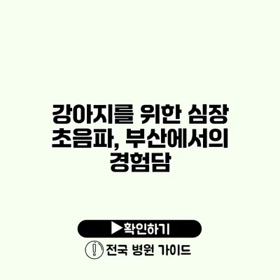 강아지를 위한 심장 초음파, 부산에서의 경험담