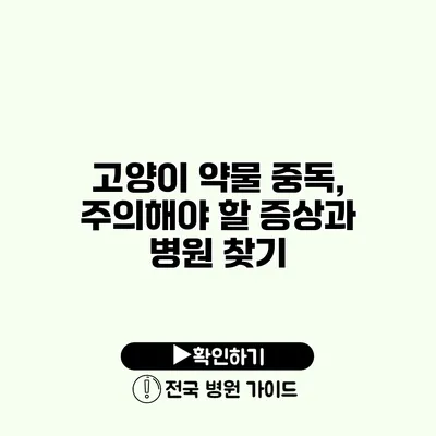 고양이 약물 중독, 주의해야 할 증상과 병원 찾기