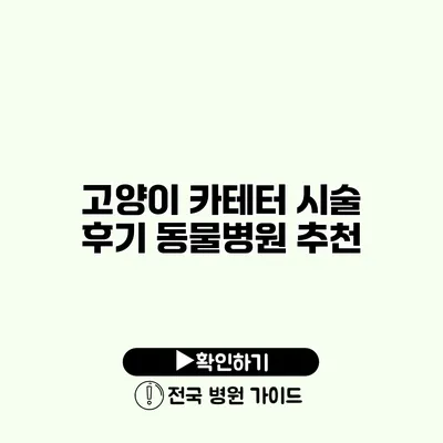 고양이 카테터 시술 후기 동물병원 추천