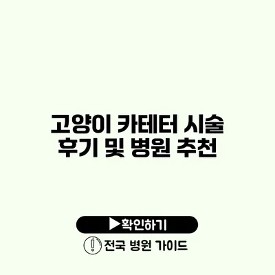 고양이 카테터 시술 후기 및 병원 추천