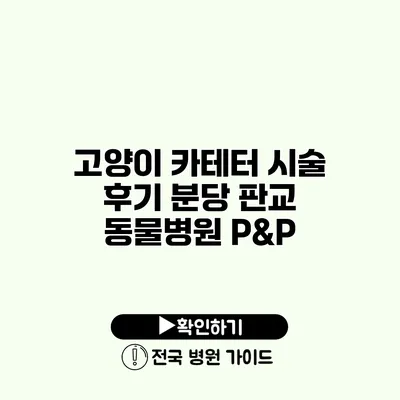 고양이 카테터 시술 후기 분당 판교 동물병원 P&P