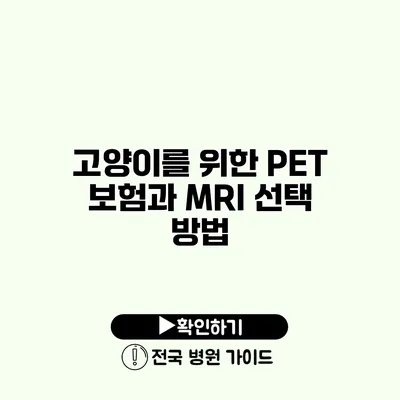 고양이를 위한 PET 보험과 MRI 선택 방법