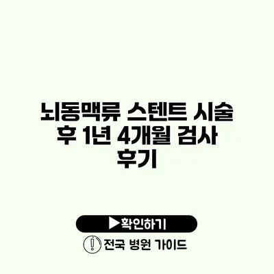 뇌동맥류 스텐트 시술 후 1년 4개월 검사 후기