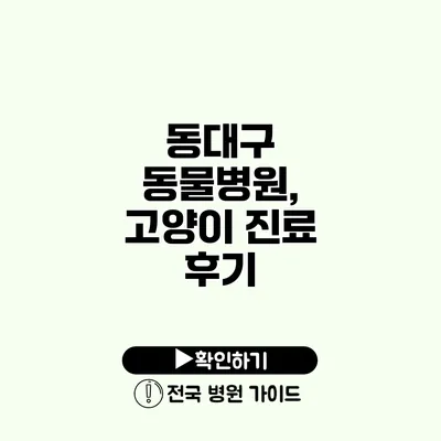 동대구 동물병원, 고양이 진료 후기