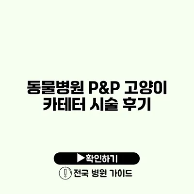 동물병원 P&P 고양이 카테터 시술 후기