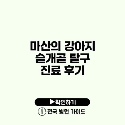 마산의 강아지 슬개골 탈구 진료 후기