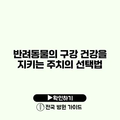 반려동물의 구강 건강을 지키는 주치의 선택법