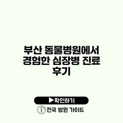 부산 동물병원에서 경험한 심장병 진료 후기