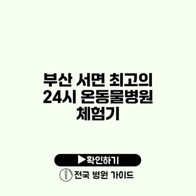 부산 서면 최고의 24시 온동물병원 체험기