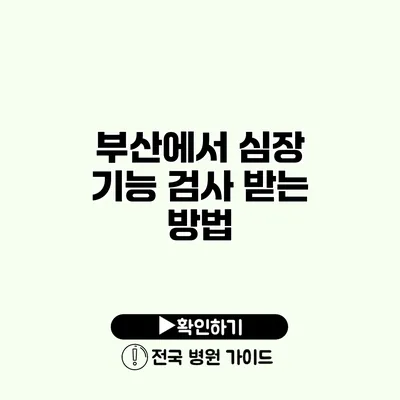 부산에서 심장 기능 검사 받는 방법