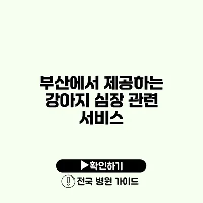 부산에서 제공하는 강아지 심장 관련 서비스