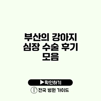 부산의 강아지 심장 수술 후기 모음