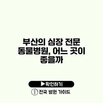 부산의 심장 전문 동물병원, 어느 곳이 좋을까?