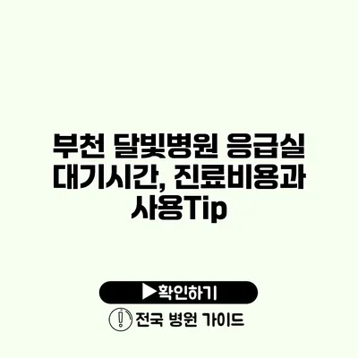 부천 달빛병원 응급실 대기시간, 진료비용과 사용Tip