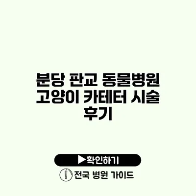 분당 판교 동물병원 고양이 카테터 시술 후기