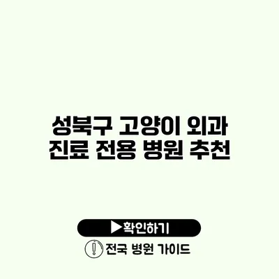 성북구 고양이 외과 진료 전용 병원 추천