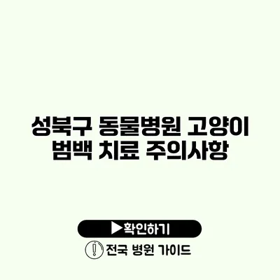 성북구 동물병원 고양이 범백 치료 주의사항