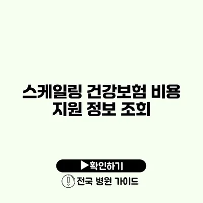 스케일링 건강보험 비용 지원 정보 조회