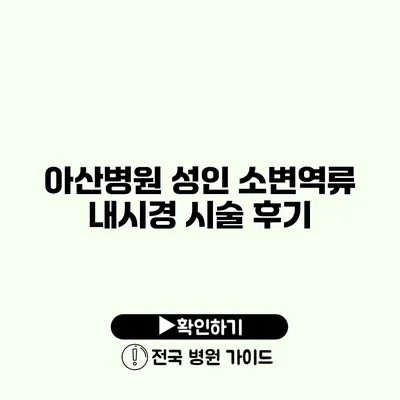 아산병원 성인 소변역류 내시경 시술 후기