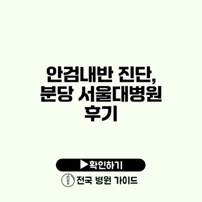 안검내반 진단, 분당 서울대병원 후기