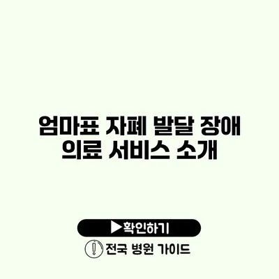 엄마표 자폐 발달 장애 의료 서비스 소개