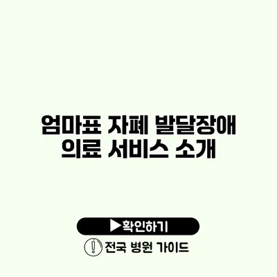 엄마표 자폐 발달장애 의료 서비스 소개