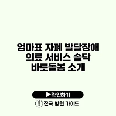 엄마표 자폐 발달장애 의료 서비스 솔닥 바로돌봄 소개