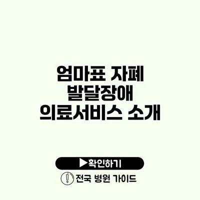 엄마표 자폐 발달장애 의료서비스 소개