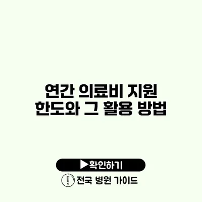 연간 의료비 지원 한도와 그 활용 방법