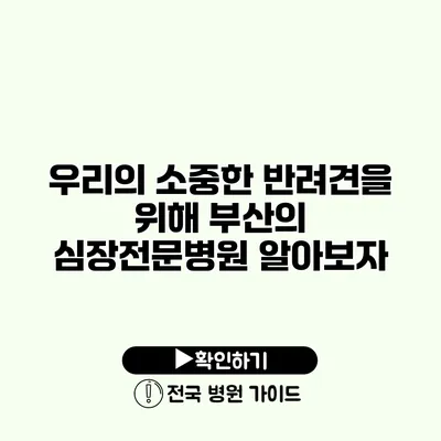 우리의 소중한 반려견을 위해 부산의 심장전문병원 알아보자