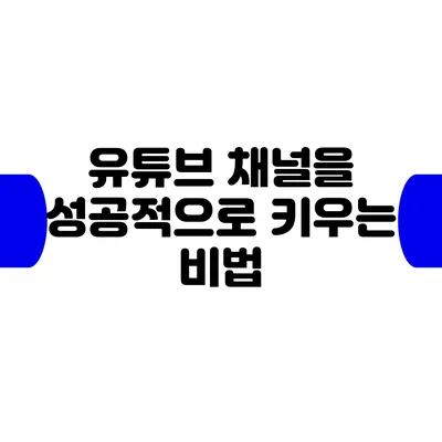 유튜브 채널을 성공적으로 키우는 비법