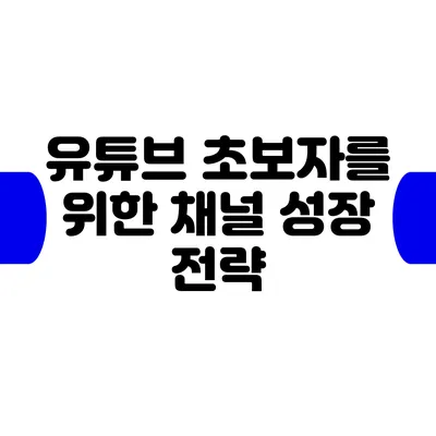 유튜브 초보자를 위한 채널 성장 전략