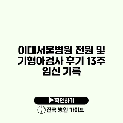 이대서울병원 전원 및 기형아검사 후기 13주 임신 기록