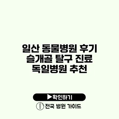 일산 동물병원 후기 슬개골 탈구 진료 독일병원 추천