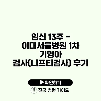 임신 13주 - 이대서울병원 1차 기형아 검사(니프티검사) 후기