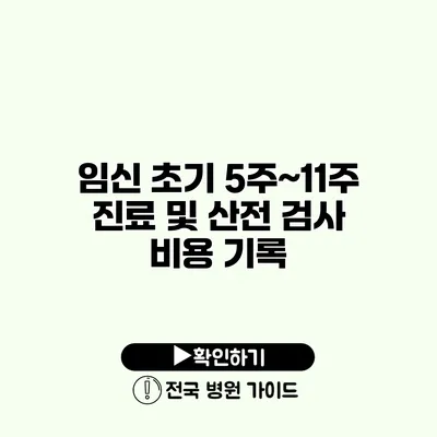 임신 초기 5주~11주 진료 및 산전 검사 비용 기록