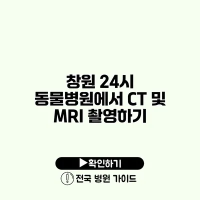 창원 24시 동물병원에서 CT 및 MRI 촬영하기