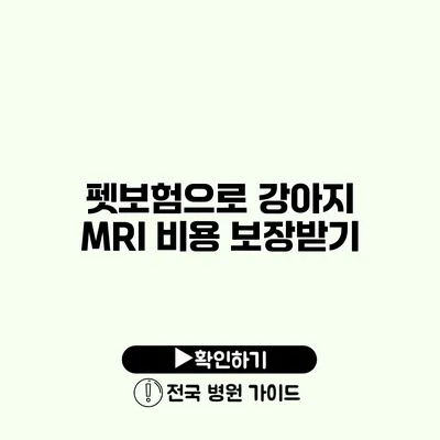 펫보험으로 강아지 MRI 비용 보장받기