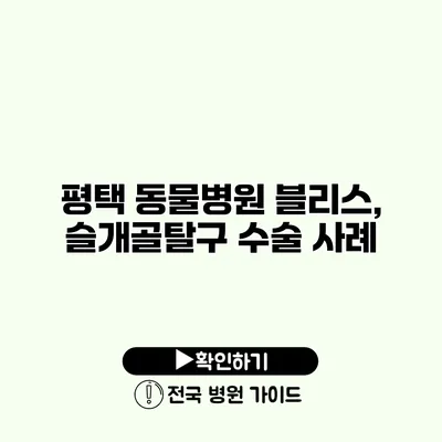 평택 동물병원 블리스, 슬개골탈구 수술 사례