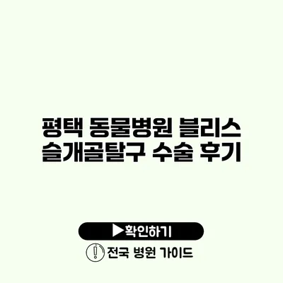 평택 동물병원 블리스 슬개골탈구 수술 후기