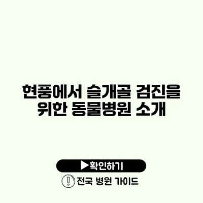 현풍에서 슬개골 검진을 위한 동물병원 소개