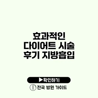 효과적인 다이어트 시술 후기 지방흡입