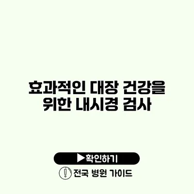 효과적인 대장 건강을 위한 내시경 검사